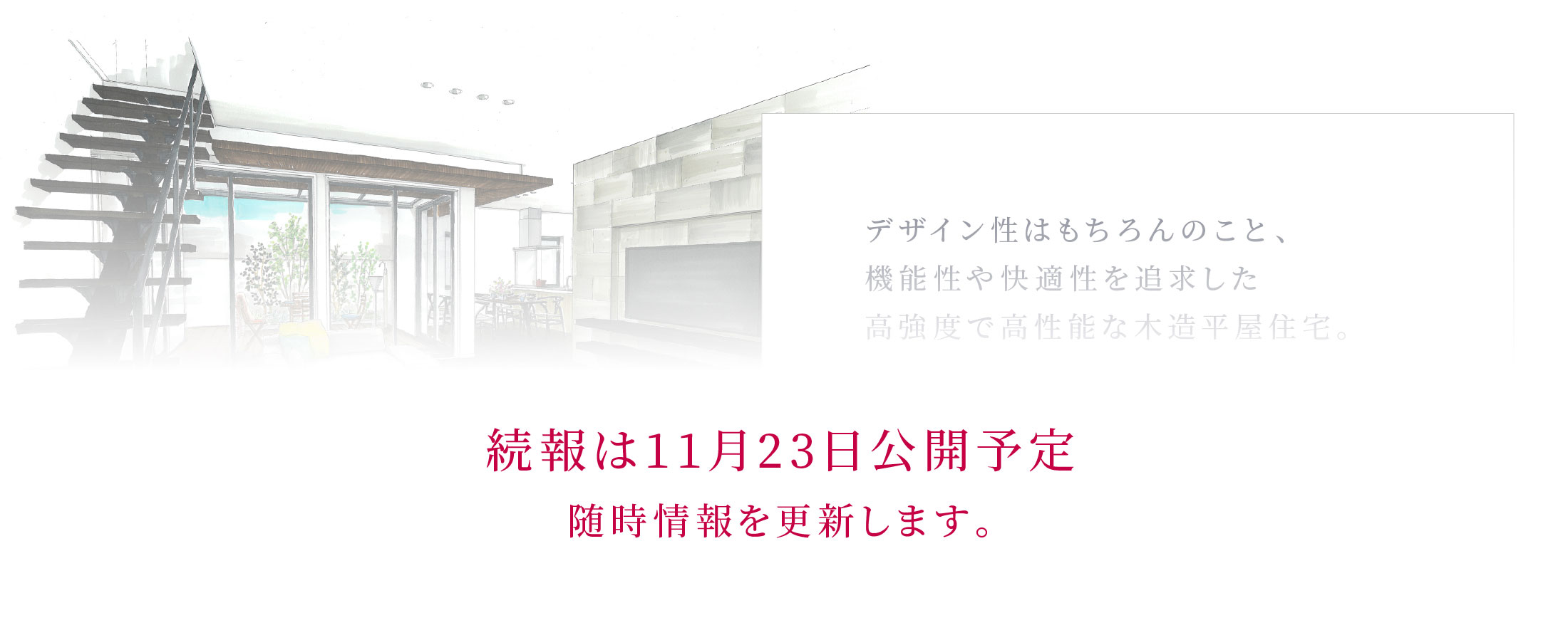 見どころ